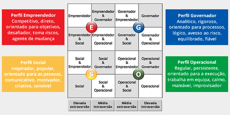 modelo-mapa-egos-pt-4.jpg